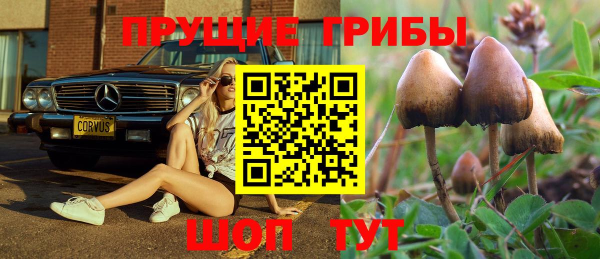 Галлюциногенные грибы мухоморы  Вход с VPN  Галлюциногенные грибы Magic Shrooms  хочу наркоту  Тавда 